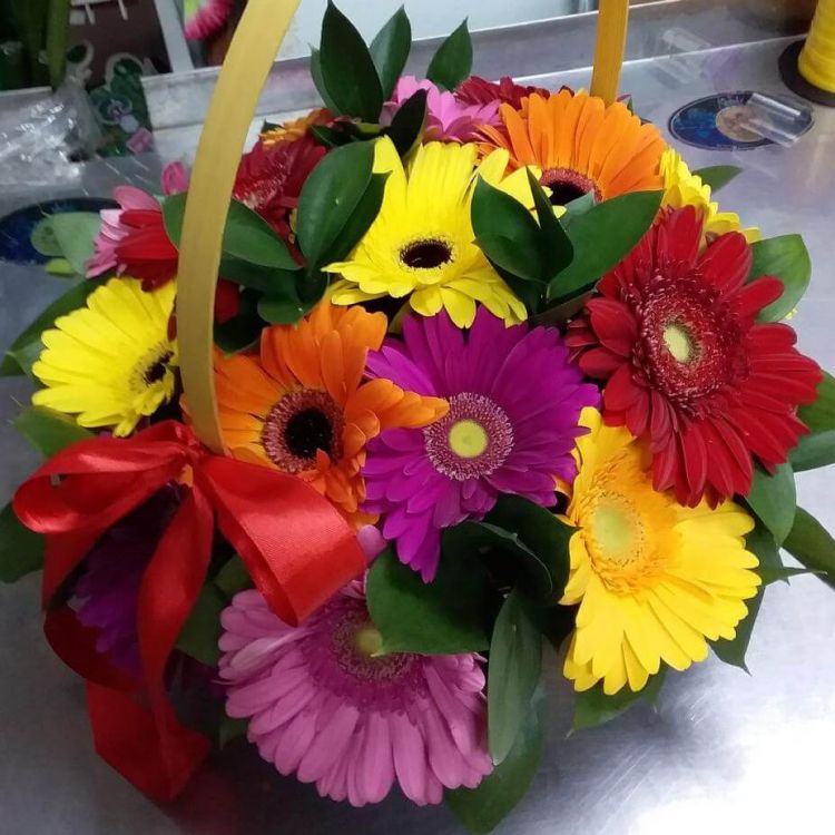 Улыбка радуги от 9 557 руб.